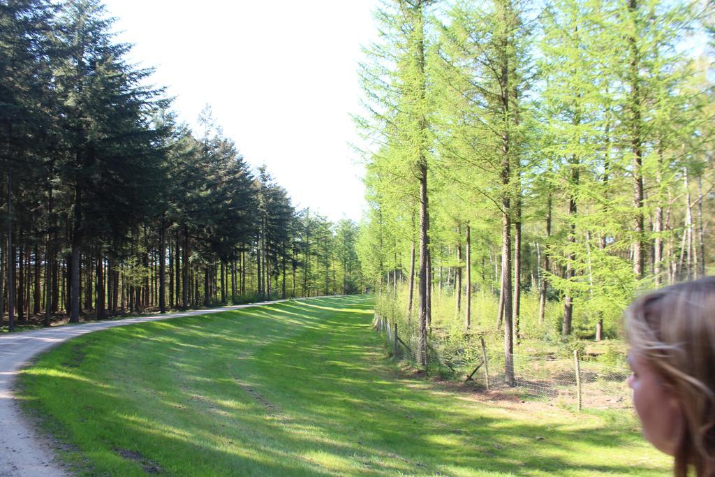 Landbrise Villa Petersfeld Exteriör bild